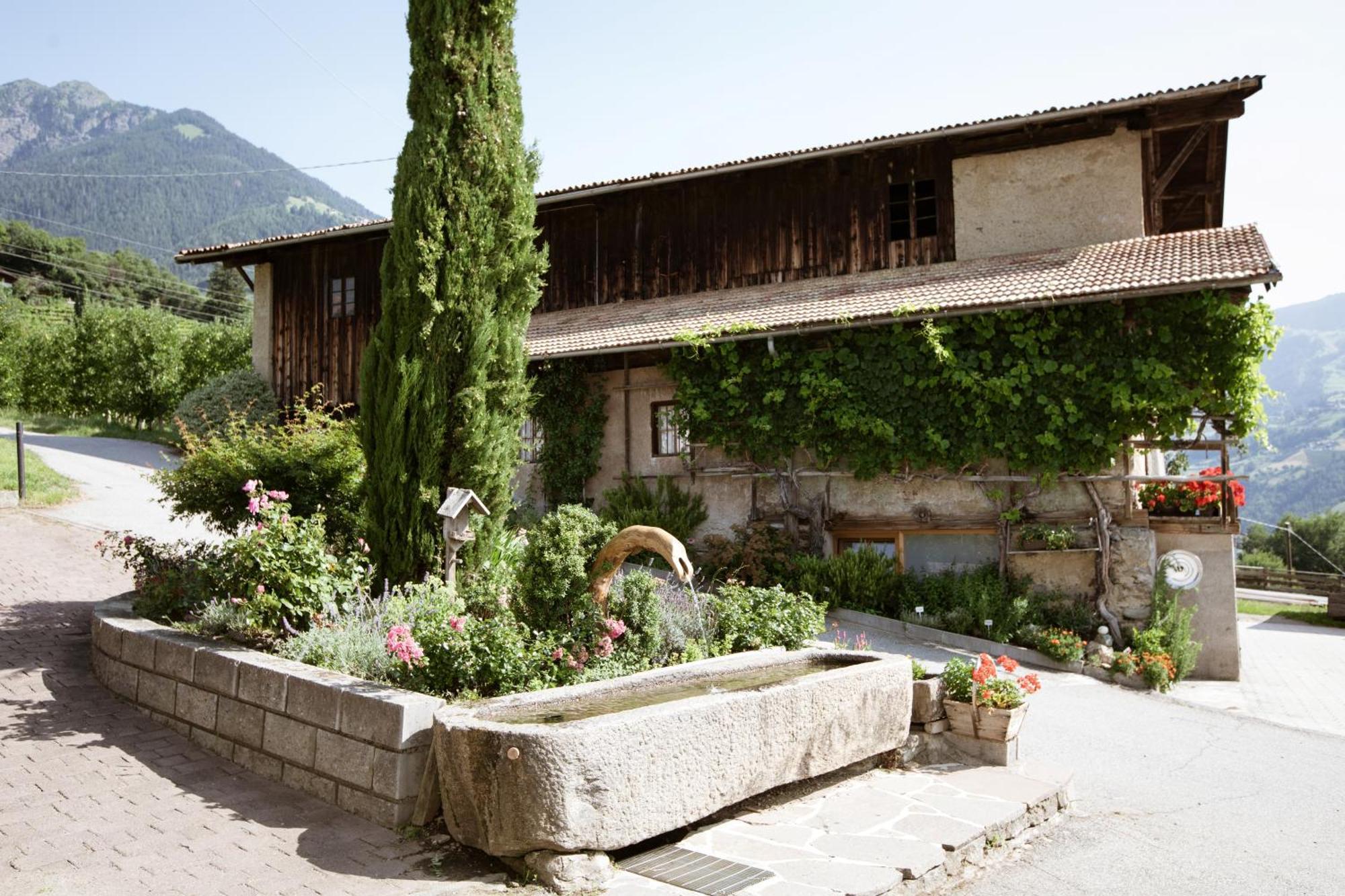 Bed and Breakfast Noessinghof Tirolo Exterior foto